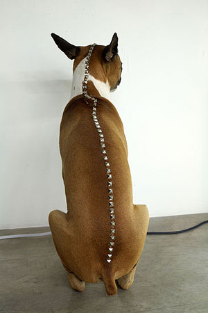 http://www.diazcontemporary.ca/content/bgl/med/8.jpg